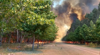 Descontrol en Lujan: no cesa el incendio en Pueblo Nuevo a metros del basural ilegal a cielo abierto