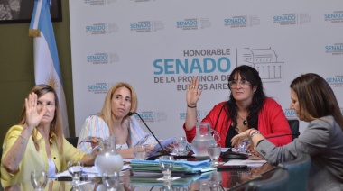 Senadores: Avances en la comisión de Igualdad Real de Trato, Oportunidades y Discapacidad