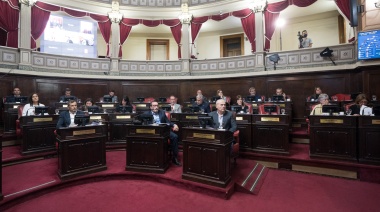 Senadores del FdT y el fallo de la Corte: “Es un avasallamiento a las atribuciones del Ejecutivo”