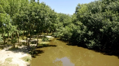 La Plata: El municipio ratificó prohibición de construcciones privadas en humedal del arroyo El Pescado