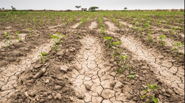 La PBA continúa con medidas de apoyo al sector agropecuario afectado por la sequía