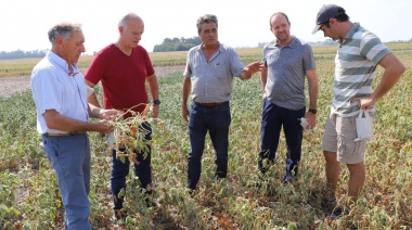 Grindetti duro contra la gestión Kicillof por la sequía está en la provincia: “no hay ideas ni propuestas”
