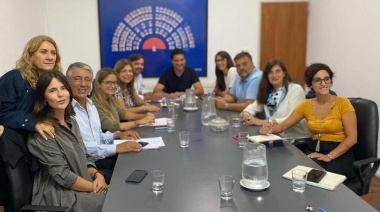 Cómo trabajan los diputados de Juntos por el Cambio en plena cuarentena