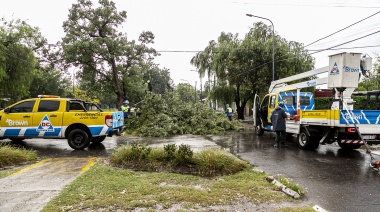 Brown: Mientras continúa trabajando frente a la tormenta, el municipio lanzó recomendaciones