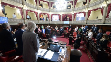 Crecen los pedidos de informe por el dengue: “Crisis sanitaria, ministro ausente”, critican desde el PRO