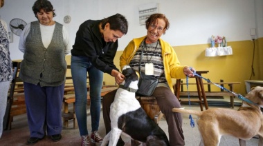 Mayra Mendoza participó de un nuevo operativo de castración y vacunación de animales