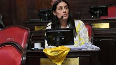 Es Ley: Diputados aprobó proyecto que garantiza derechos a personas con endometriosis