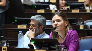 Diputados: Piden la emergencia ambiental, social económica y territorial en Bahía Blanca