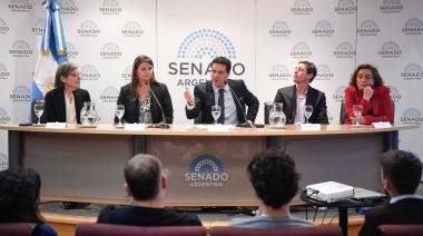 EL Congreso Nacional empuja el programa bonaerense “DALE”: de qué se trata la iniciativa