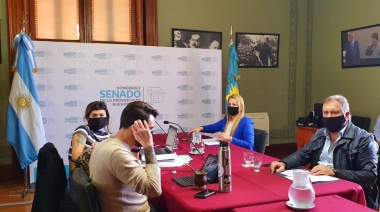 Senado: "Bilardeada" cambiemita y calentura oficial por el proyecto de Ley de Víctimas