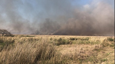 Productor ganadero detenido por causar incendio intencional en el Delta