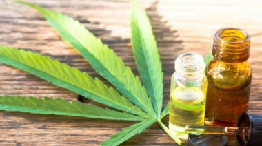 Tigre: aprobaron el cannabis y sus derivados como recurso terapéutico