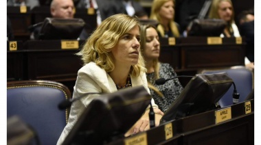 Laura Aprile: "Ya es hora que el Estado ponga el tema en agenda y lo considere realmente una prioridad”