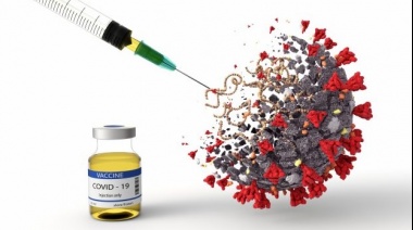 Vacuna platense contra el Covid-19: Investigadores del Conicet lanzan una iniciativa para su desarrollo 