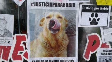 Piden que día 13 de Agosto de cada año como el “El Día contra el maltrato y crueldad animal”