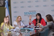 Senadores: Avances en la comisión de Igualdad Real de Trato, Oportunidades y Discapacidad