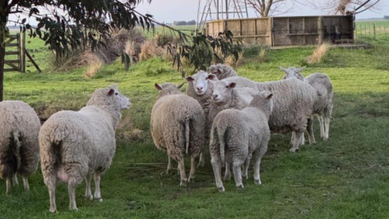 Tres Arroyos: la municipalidad se suma a la "Red Nacional de Municipios Agroecológicos”