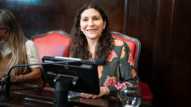 Presentan en el Senado un proyecto para declarar preocupación por la sanción del DNU de inteligencia