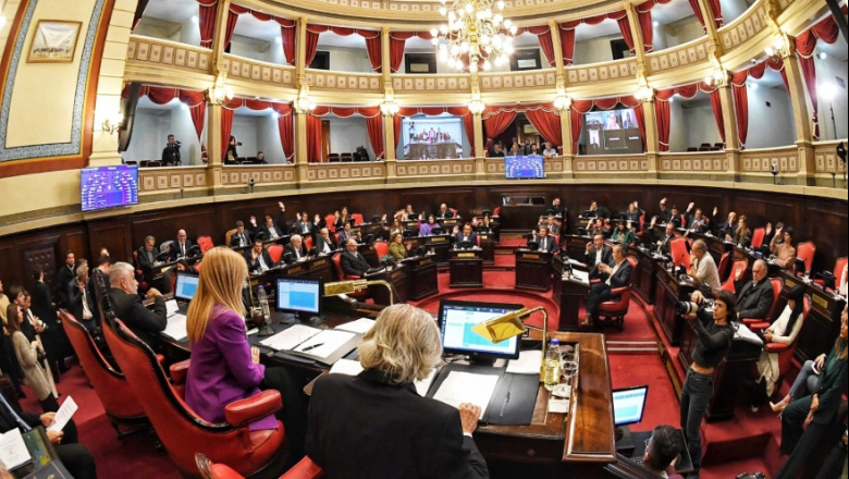 Presentan en el Senado proyectos sobre la detención de Maduro y las declaraciones de Kicillof