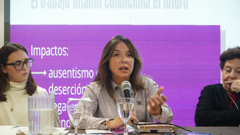 Sánchez Jauregui pidió reforzar la prevención del trabajo infantil en la Provincia