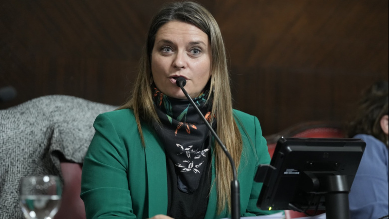 El Senado bonaerense aprobó una ley para prevenir incendios en rutas y zonas rurales
