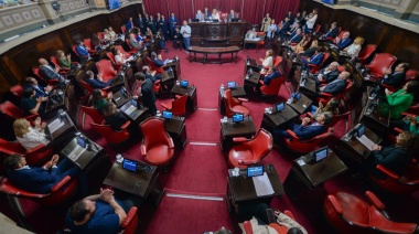 Senadores del PRO presentan proyecto contra el fin de la repitencia: “no es solución a la crisis educativa”