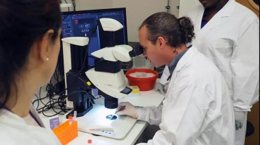 Conicet: prueban medicamento de humanos para combatir insectos que se alimentan de sangre