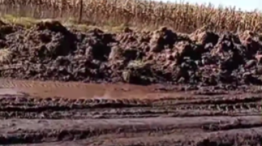 Bolívar: Denuncian que "los caminos rurales están intransitables y el campo aislado”