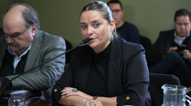 Senado: impulsan un proyecto para fortalecer el trabajo de los talleres protegidos en la Provincia