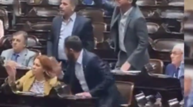 Diputada radical que le votó la Ley Bases a Milei ahora le reclama y suplica ayuda económica