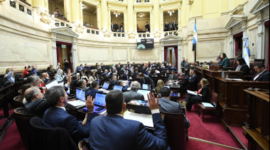 Libertario sentenció: “Lo único que buscan los K y compañía es ponerle palos en la rueda a Milei”