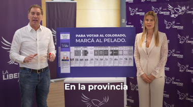 “Para votar al colorado, marcá al pelado”, los libertarios y la obligación de “subtitular” la campaña