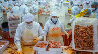 Langostino costero de Chubut: certificaciones, convergencias y los tiempos reales de la sostenibilidad