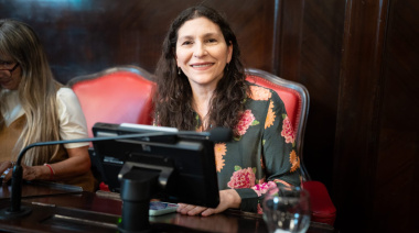 Senado bonaerense: El kirchnerismo busca crear la comisión Mujeres y Diversidades