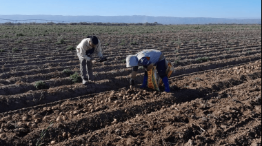 Paritaria rural: UATRE pide una recomposición urgente y apunta a los empleadores