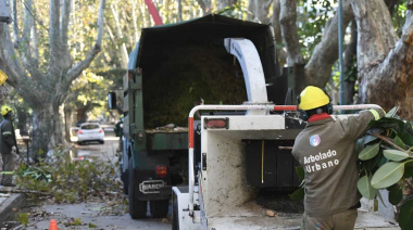 Vicente López: continúa abierta la inscripción al Plan de Poda 2026 en todo el distrito