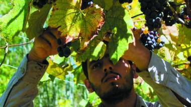 ENOTURISMO: acá está el calendario de eventos Vinos Buenos Aires que tenés que saber