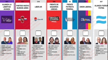 Libertarios insisten con la Boleta Única y reavivan el debate electoral en la Provincia