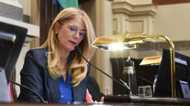 Senado: acá están, estas son todas las comisiones con todos sus integrantes
