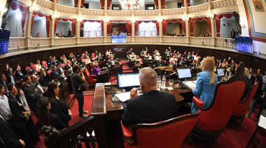 Senadores peronistas se carajearon en la cara: plantearon unidad y La Cámpora dice que “esto sigue”