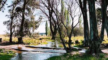 Otoño de cosecha: experiencias entre olivares, sierras y sabores bonaerenses