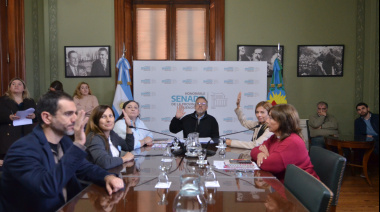 Plantean irregularidades en la asunción de Valenzuela como presidente de una comisión