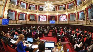 “Afuera el Senado”: ofensiva libertaria en la Provincia