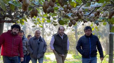 Buscan declarar a General Pueyrredon como la Capital Provincial del Kiwi