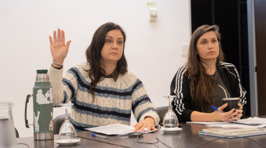 De qué se trata el Programa "Circuito de Salud de la Mujer" que comienza a debatirse en Diputados