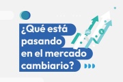 La Fundación Encuentro se pregunta: ¿qué está pasando en el mercado cambiario?