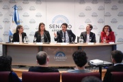 EL Congreso Nacional empuja el programa bonaerense “DALE”: de qué se trata la iniciativa