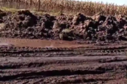 Bolívar: Denuncian que "los caminos rurales están intransitables y el campo aislado”