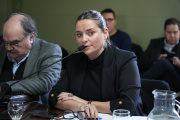 Senado: impulsan un proyecto para fortalecer el trabajo de los talleres protegidos en la Provincia
