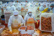 Langostino costero de Chubut: certificaciones, convergencias y los tiempos reales de la sostenibilidad